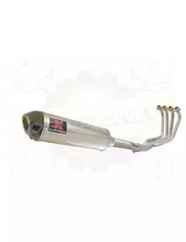 FZS1000 FZS 1000 FAZER Ligne complète & Silencieux Ovale En Inox + Canule En Carbone 400mm