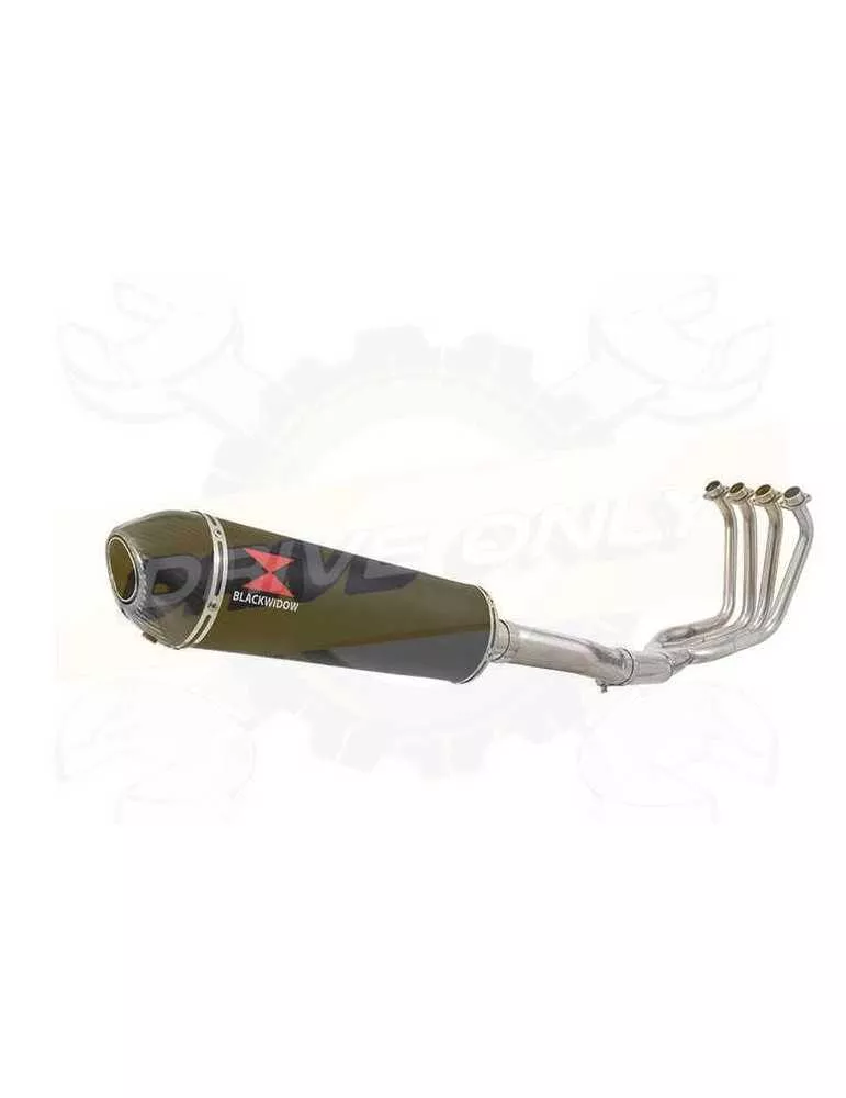 FZS1000 FZS 1000 FAZER Ligne complète & Silencieux Ovale Noir En Inox + Canule En Carbone 400mm