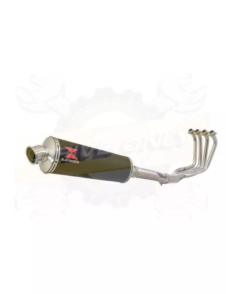 FZS1000 FZS 1000 FAZER Ligne complète & Silencieux Ovale Noir En Inox 400mm
