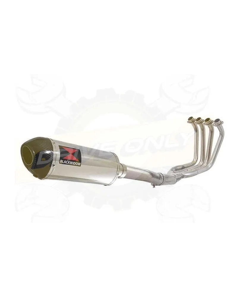 FZS1000 FZS 1000 FAZER Ligne complète & Silencieux Ovale En Inox + Canule En Carbone 300mm