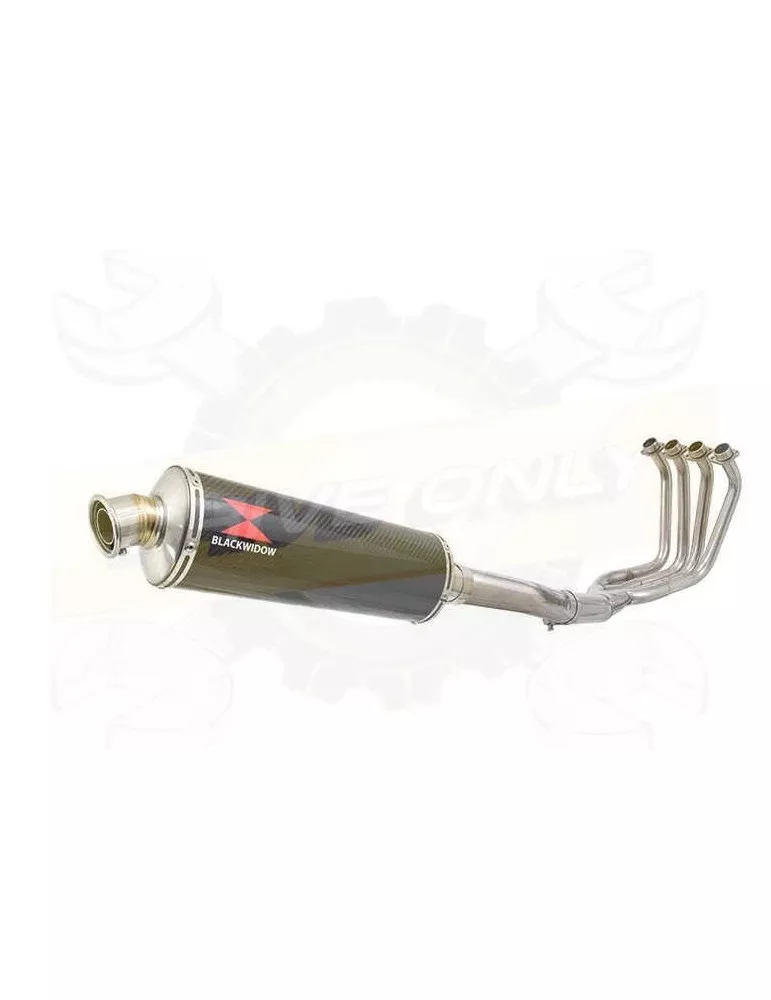 FZS1000 FZS 1000 FAZER Ligne complète & Silencieux Ovale En Carbone 400mm