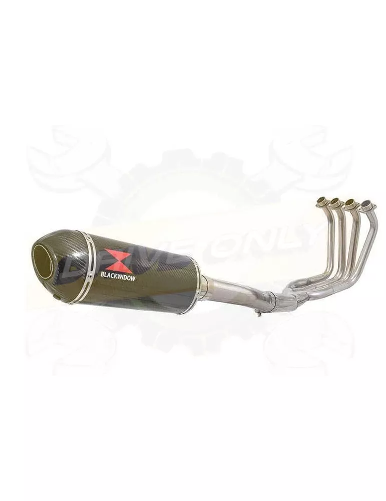 FZS1000 FZS 1000 FAZER Ligne complète & Silencieux Ovale En Carbone 300mm