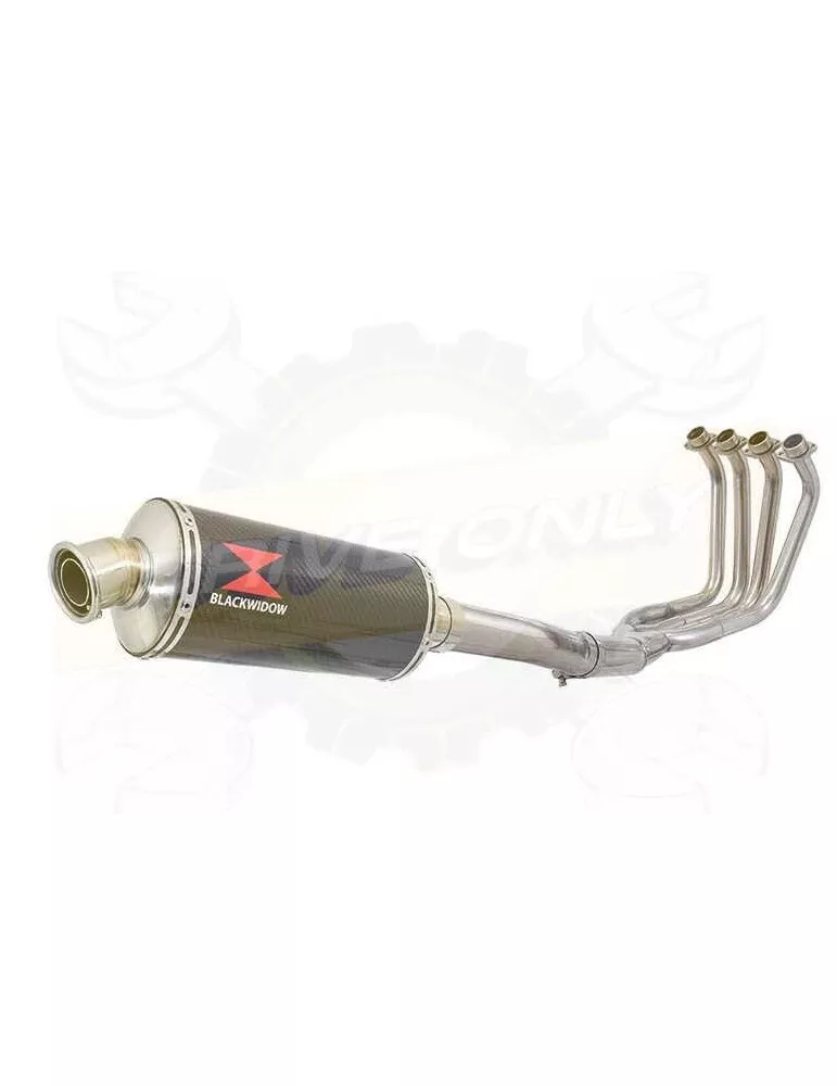 FZS1000 FZS 1000 FAZER Ligne complète & Silencieux Ovale En Carbone 300mm