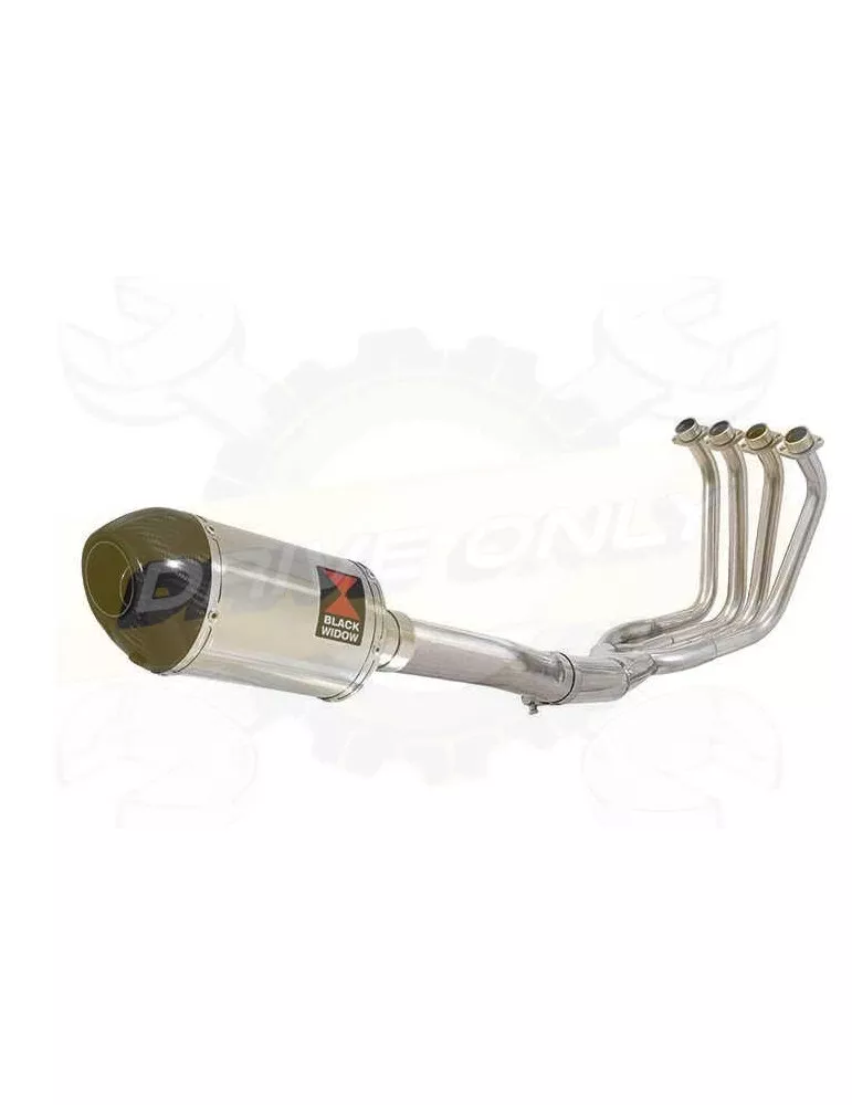 FZS1000 FZS 1000 FAZER Ligne complète & Silencieux Ovale En Inox + Canule En Carbone 200mm