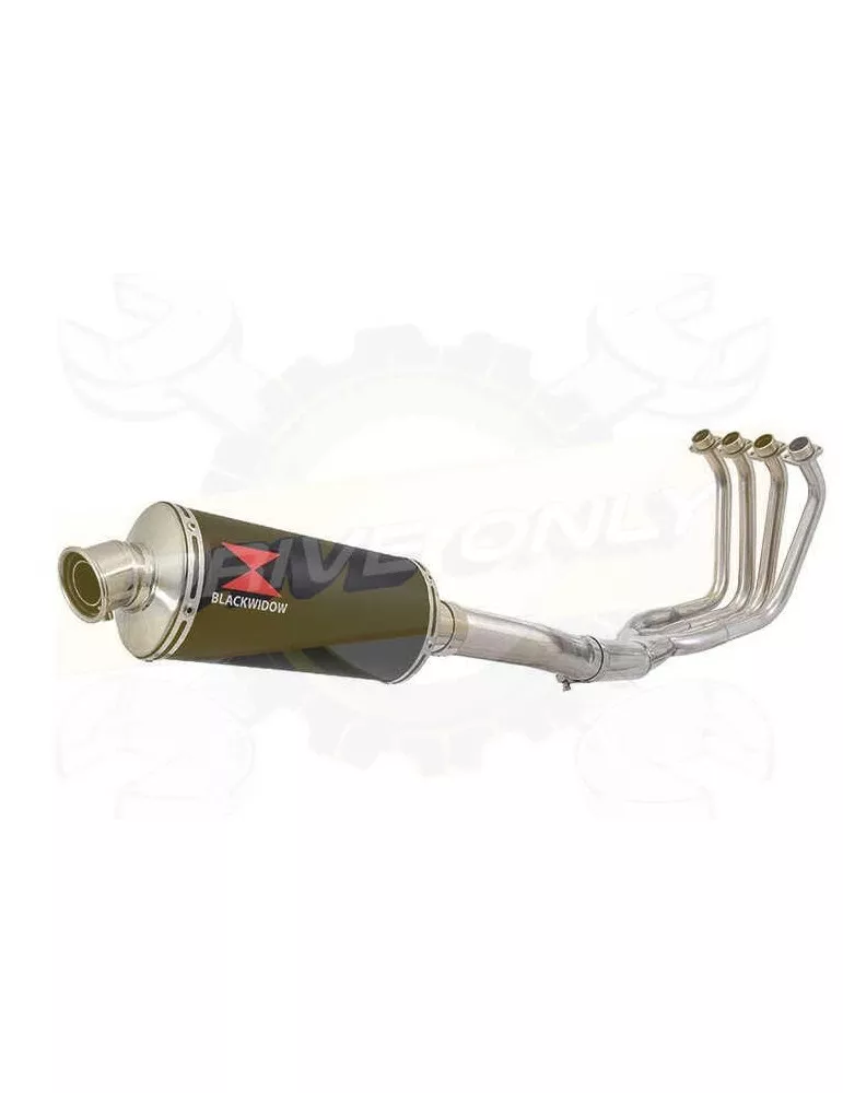 FZS1000 FZS 1000 FAZER Ligne complète & Silencieux Ovale Noir En Inox 300mm