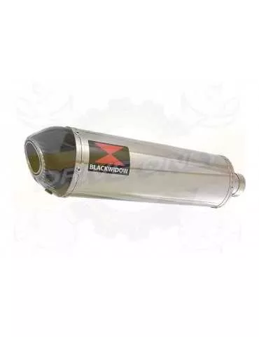 FZS1000 FZS 1000 FAZER Exhaust Silencieux Kit & Ovale Silencieux En Inox + En Carbone Tip 400mm
