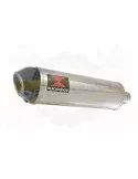 FZS1000 FZS 1000 FAZER Exhaust Silencieux Kit & Ovale Silencieux En Inox + En Carbone Tip 400mm