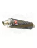 FZS1000 FZS 1000 FAZER Exhaust Silencieux Kit & Ovale En Carbone Silencieux 400mm