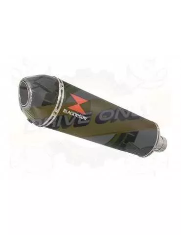 FZS1000 FZS 1000 FAZER Exhaust Silencieux Kit & Ovale Noir Silencieux En Inox + En Carbone Tip 400mm