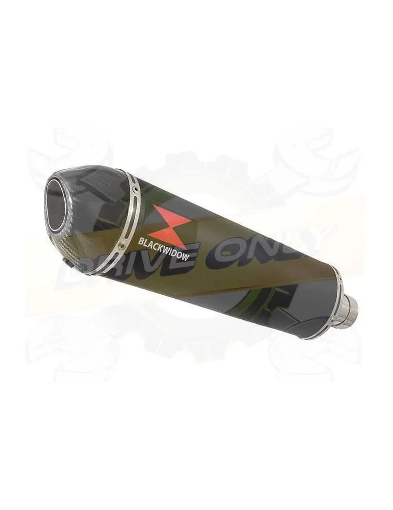 FZS1000 FZS 1000 FAZER Exhaust Silencieux Kit & Ovale Noir Silencieux En Inox + En Carbone Tip 400mm