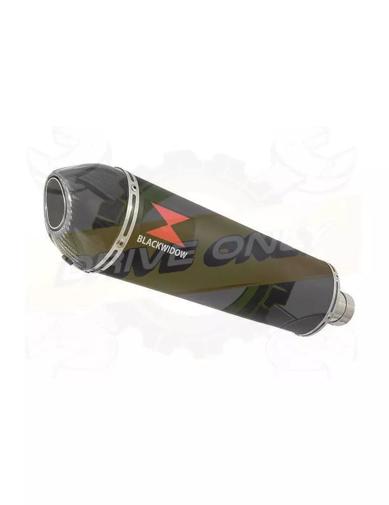 FZS1000 FZS 1000 FAZER Exhaust Silencieux Kit & Ovale Noir Silencieux En Inox + En Carbone Tip 400mm