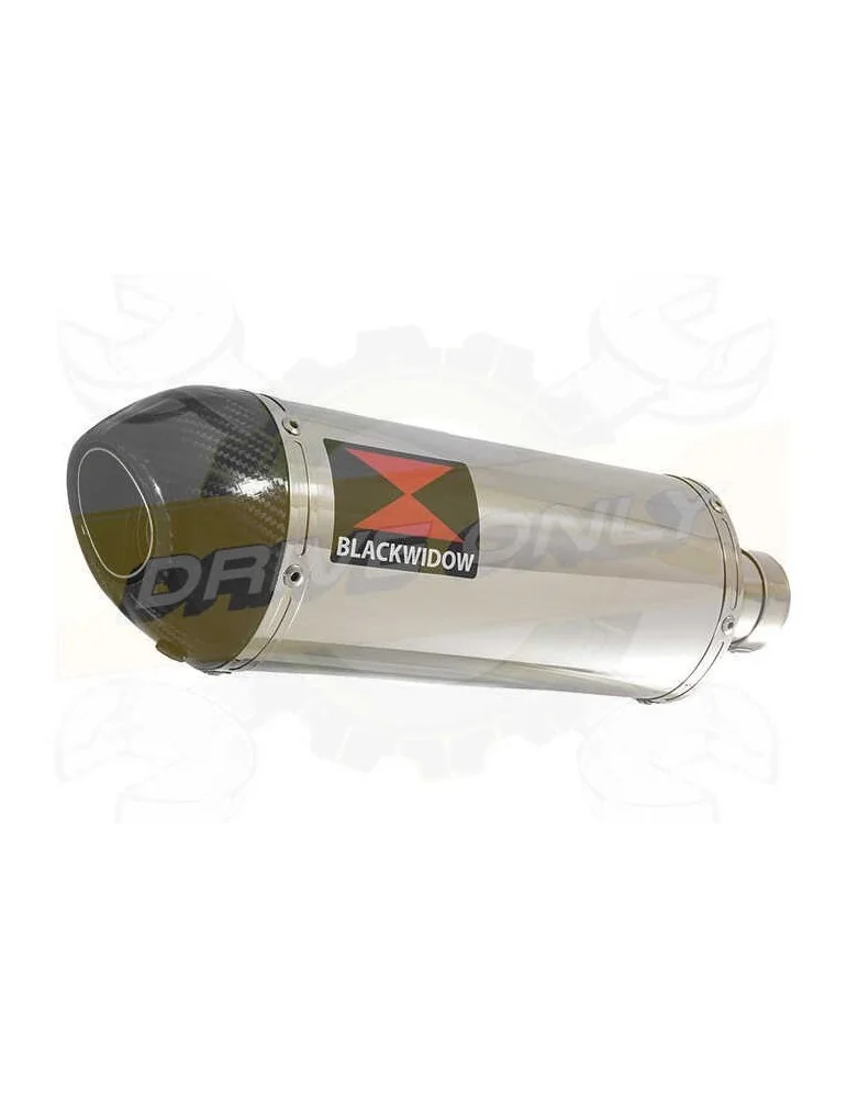 FZS1000 FZS 1000 FAZER Exhaust Silencieux Kit & Ovale Silencieux En Inox + En Carbone Tip 300mm