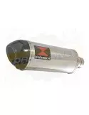 FZS1000 FZS 1000 FAZER Exhaust Silencieux Kit & Ovale Silencieux En Inox + En Carbone Tip 300mm