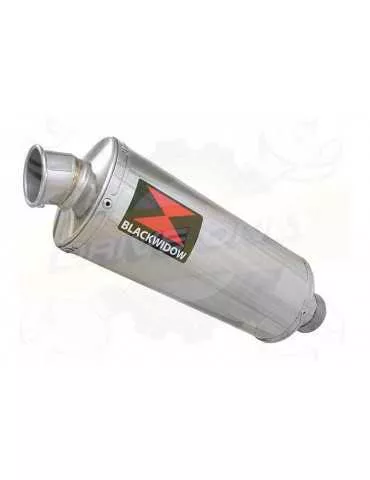 FZS1000 FZS 1000 FAZER Silencieux Kit & Silencieux Ovale En Inox 300mm