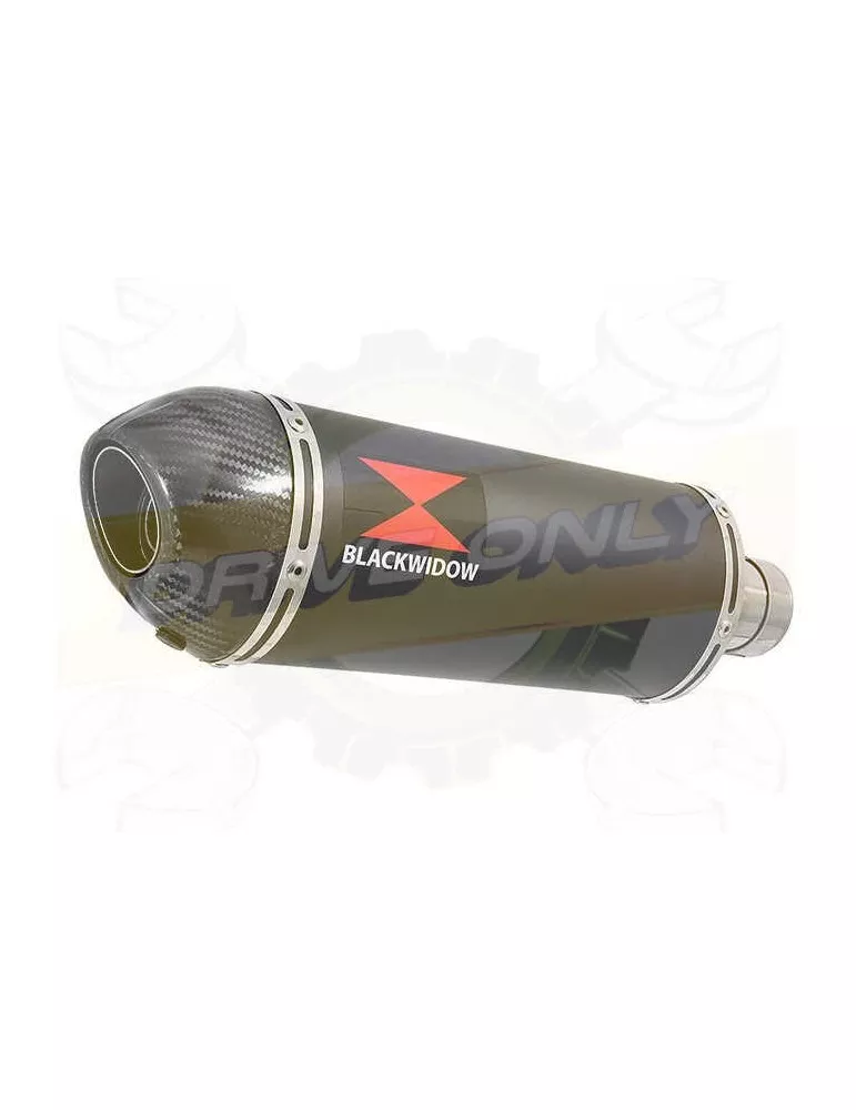 FZS1000 FZS 1000 FAZER Silencieux Kit & Silencieux Ovale Noir En Inox + Canule En Carbone 300mm