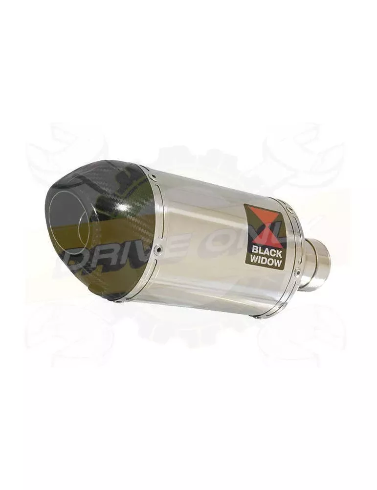 FZS1000 FZS 1000 FAZER Silencieux Kit & Silencieux Ovale En Inox + Canule En Carbone 200mm