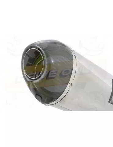 FZS1000 FZS 1000 FAZER Silencieux Kit & Silencieux Ovale En Inox + Canule En Carbone 200mm