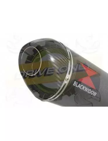 FZS1000 FZS 1000 FAZER Silencieux Kit & Silencieux Ovale En Carbone 300mm