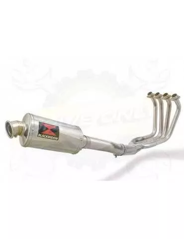 FZS1000 FZS 1000 FAZER Ligne complète & Silencieux Ovale En Inox 230mm