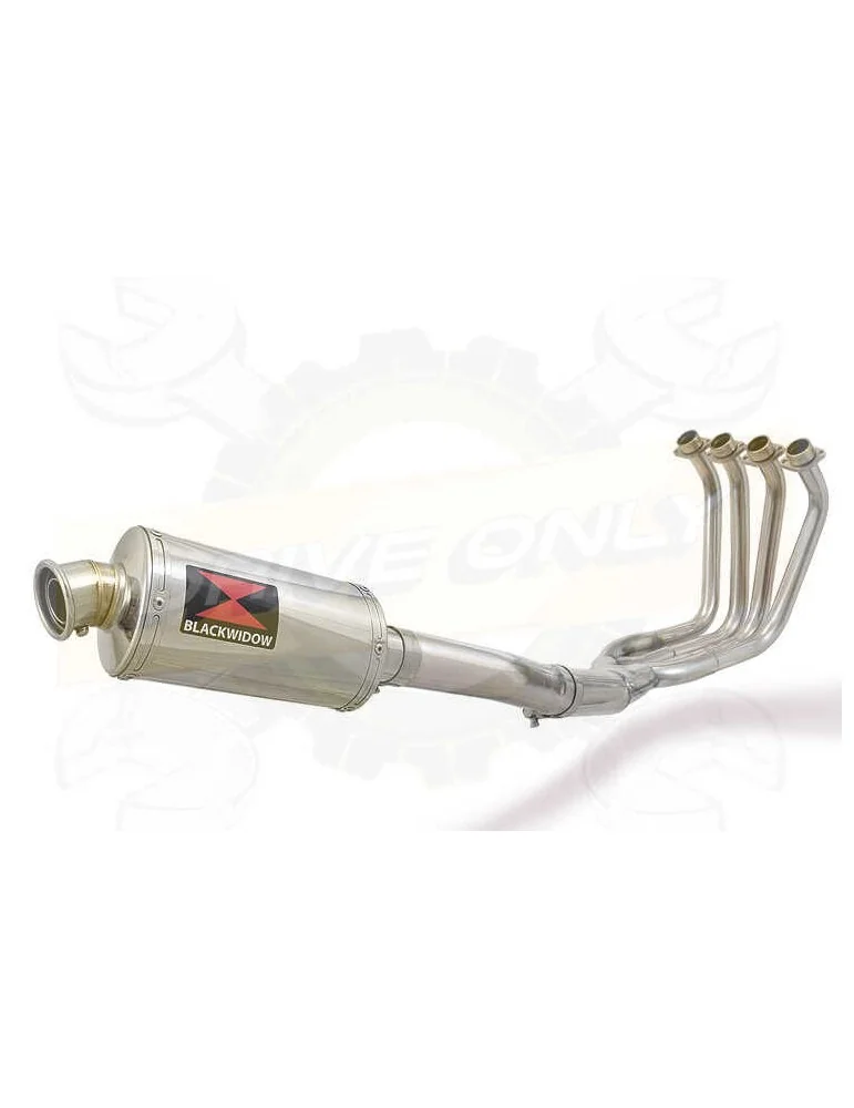 FZS1000 FZS 1000 FAZER Ligne complète & Silencieux Ovale En Inox 230mm