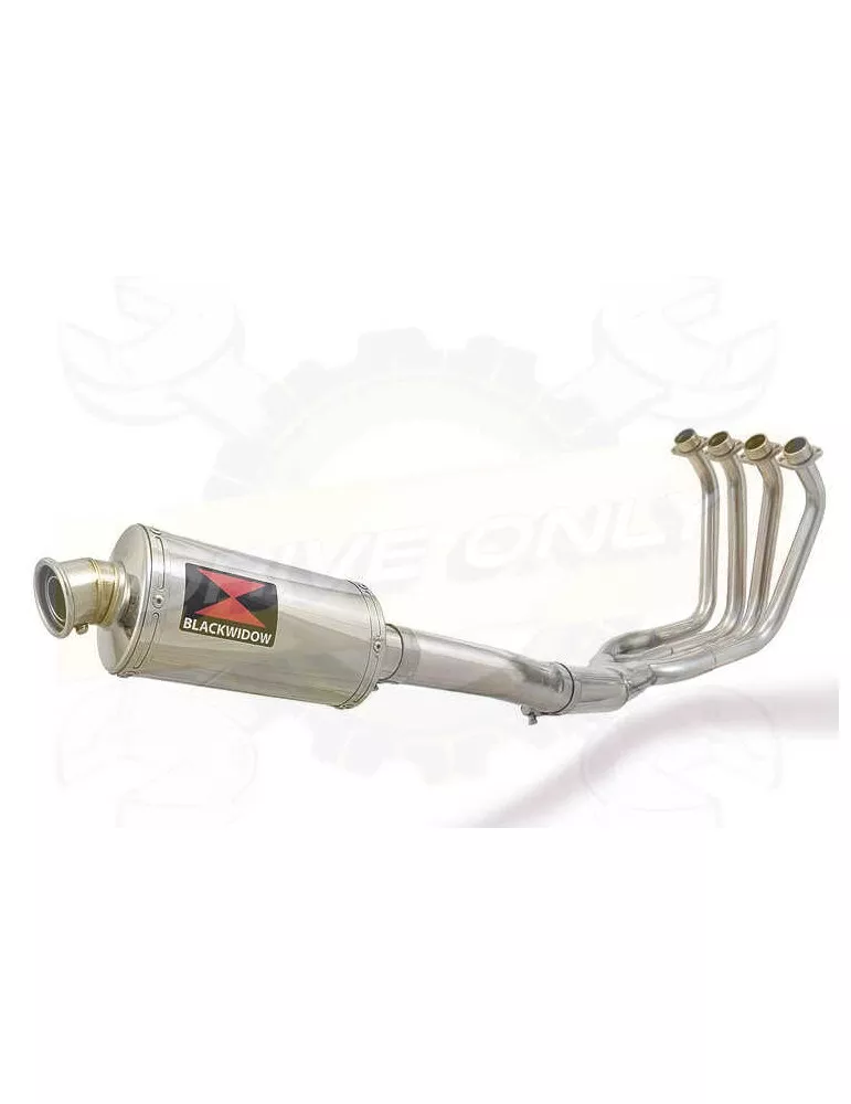FZS1000 FZS 1000 FAZER Ligne complète & Silencieux Ovale En Inox 230mm