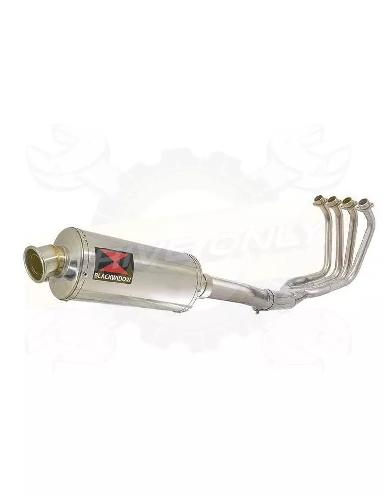 FZS1000 FZS 1000 FAZER Ligne complète & Silencieux Ovale En Inox 300mm