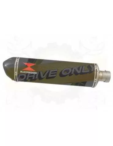 FZS600 FAZER 600 Tube de raccord et Silencieux Ovale En Carbone 400mm