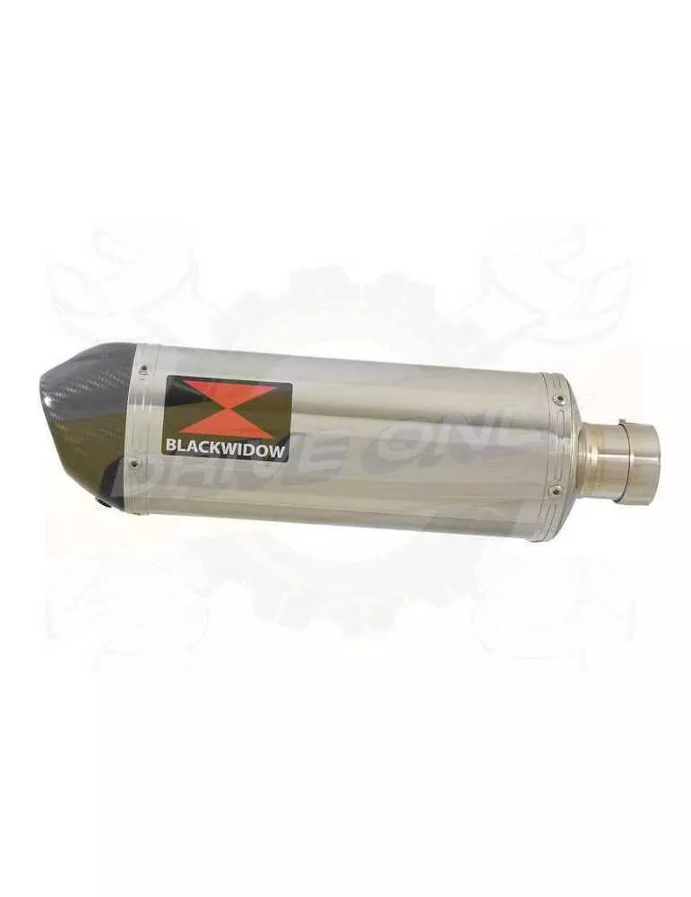 FZS600 FAZER 600 Tube de raccord et Silencieux Ovale En Inox + Canule en Carbone 300mm