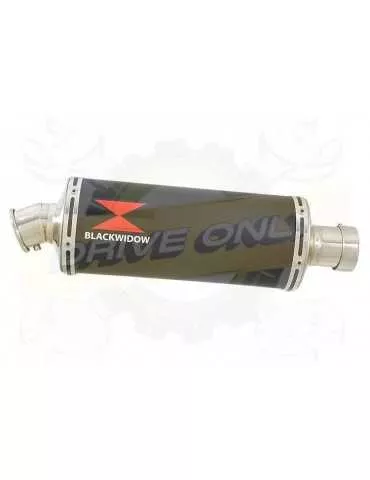FZS600 FAZER 600 Tube de raccord et Silencieux Ovale Noir En Inox 300mm