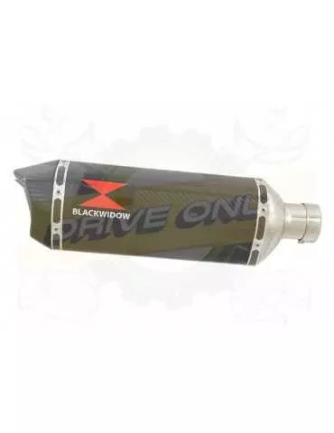 FZS600 FAZER 600 Tube de raccord et Silencieux Hexagonale En Carbone 300mm