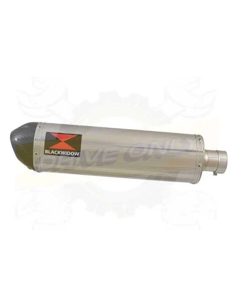 FZS600 FAZER 600 Tube de raccord et Silencieux Ovale En Inox + Canule en Carbone 400mm