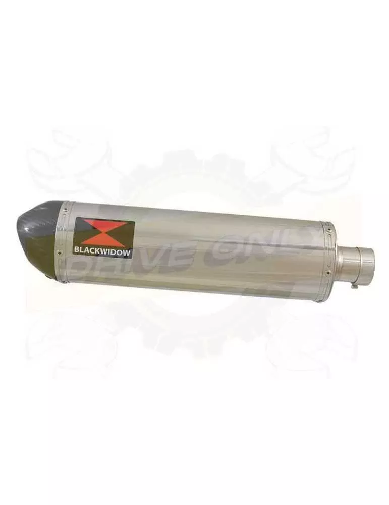 FZS600 FAZER 600 Tube de raccord et Silencieux Ovale En Inox + Canule en Carbone 400mm