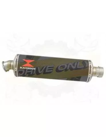 FZS600 FAZER 600 Tube de raccord et Silencieux Ovale En Carbone 400mm