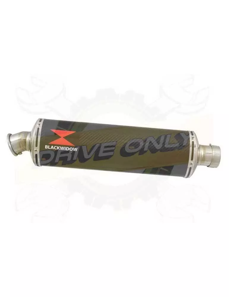 FZS600 FAZER 600 Tube de raccord et Silencieux Ovale En Carbone 400mm