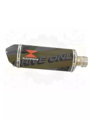 FZS600 FAZER 600 Tube de raccord et Silencieux Ovale En Carbone 300mm