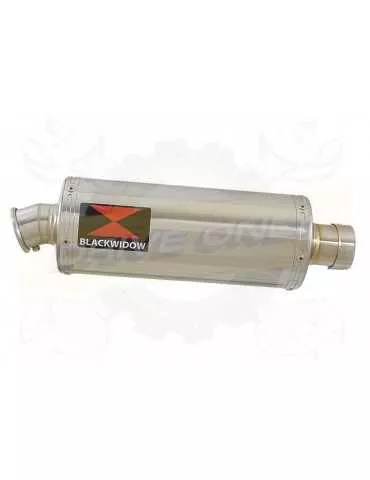 FZS600 FAZER 600 Tube de raccord et Silencieux Ovale En Inox 300mm