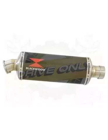 FZS600 FAZER 600 Tube de raccord et Silencieux Ovale En Carbone 300mm