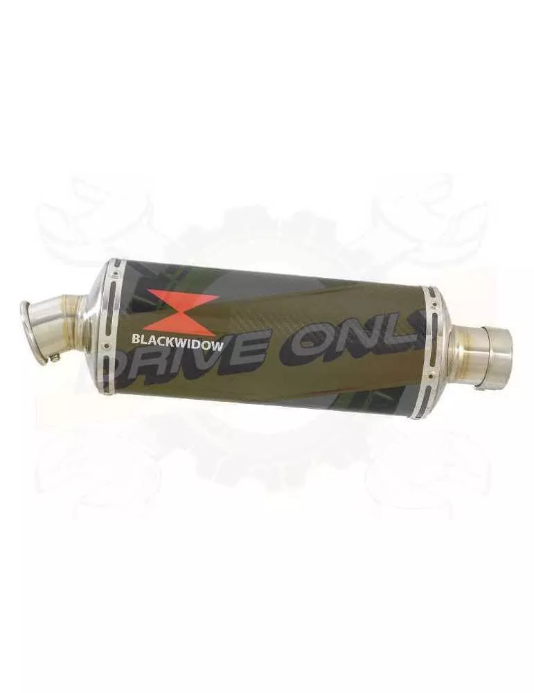 FZS600 FAZER 600 Tube de raccord et Silencieux Ovale En Carbone 300mm