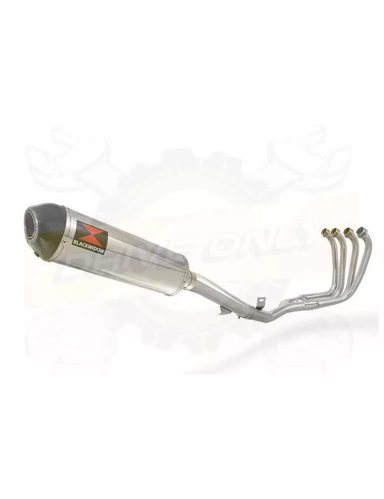 FZS600 FAZER 600 Ligne complète & Silencieux Ovale En Inox + Canule en Carbone 400mm