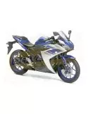 Silencieux sport Dominator : YZF R3 2015 - 201x
