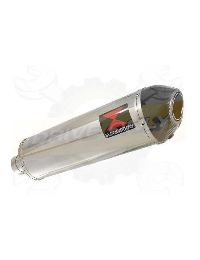 R850R ROADSTER exhaust tube de raccord et Ovale Silencieux En Inox + carbon tip 400mm