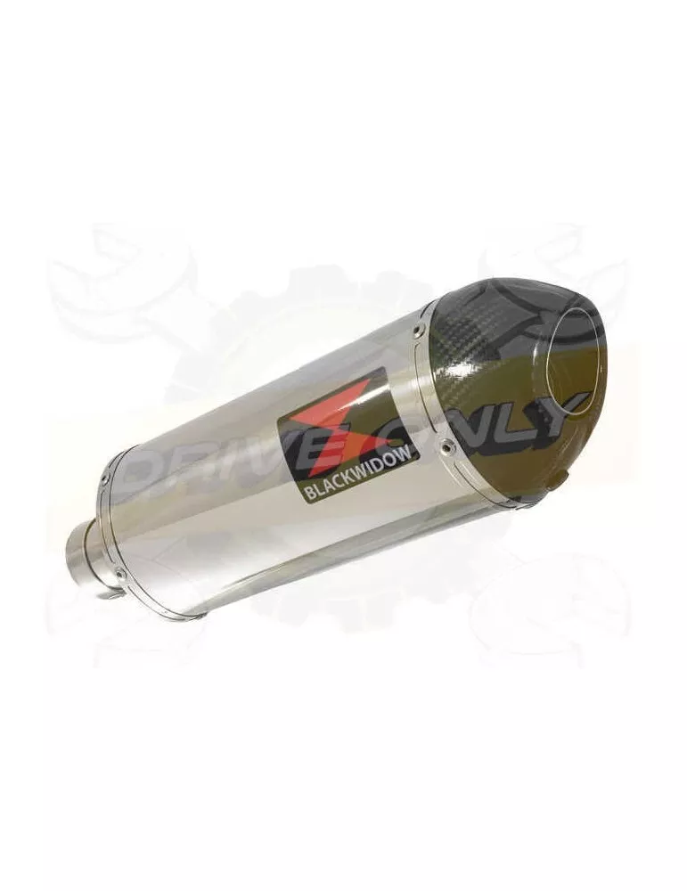 R850R ROADSTER exhaust tube de raccord et Ovale Silencieux En Inox + carbon tip 300mm