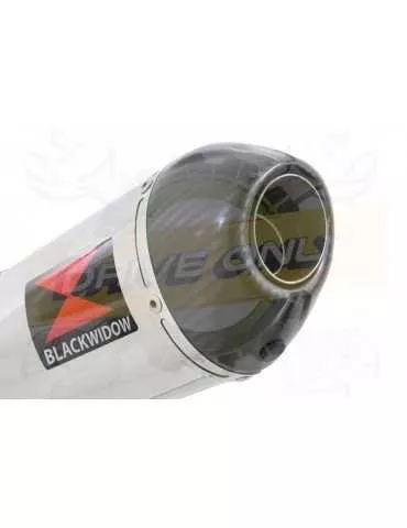 R850R ROADSTER exhaust tube de raccord et Ovale Silencieux En Inox + carbon tip 300mm