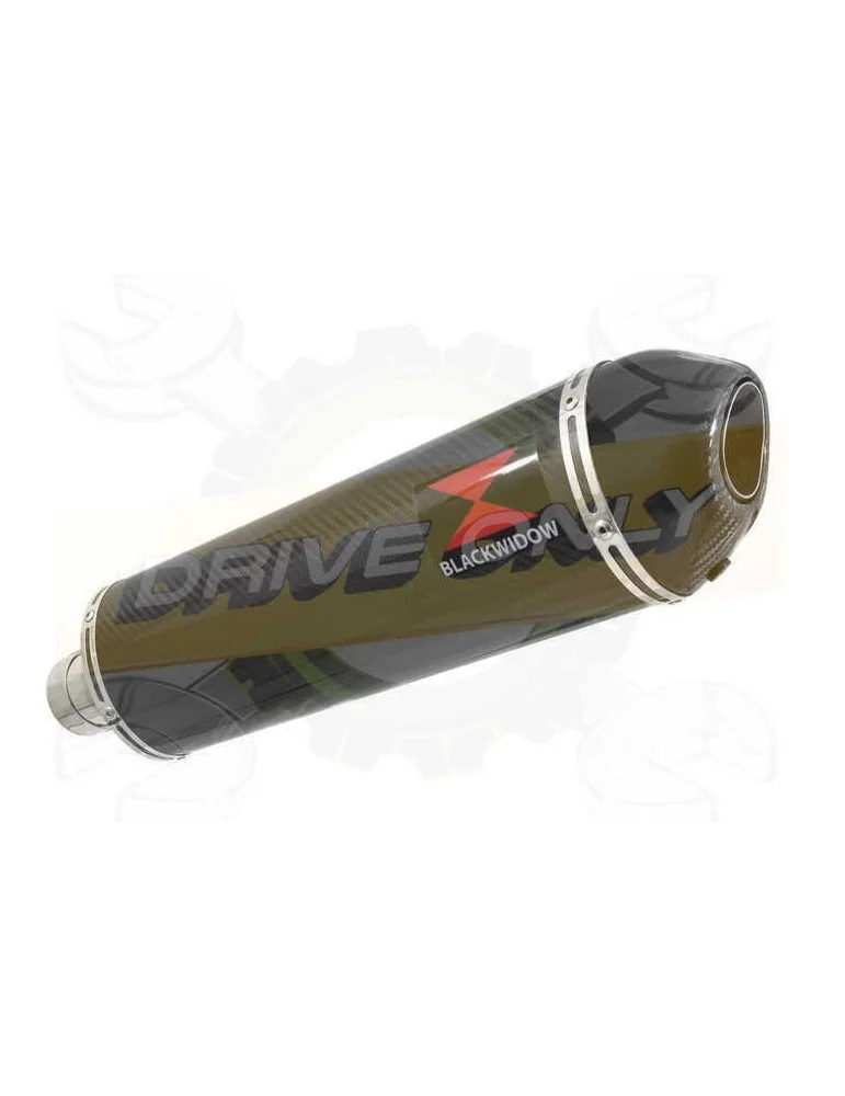 R1150 GS ADVENTURE exhaust tube de raccord et Ovale En Carbone Silencieux + carbon tip 400mm