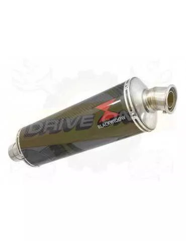 R1150 GS ADVENTURE exhaust tube de raccord et Ovale En Carbone Silencieux 400mm