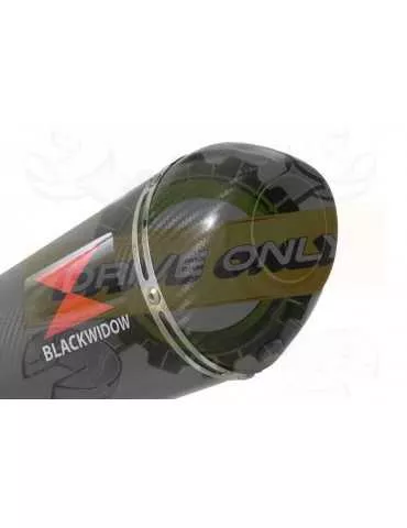 R1150 GS ADVENTURE exhaust tube de raccord et Ovale En Carbone Silencieux + carbon tip 300mm