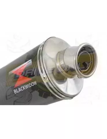 R1150 GS ADVENTURE exhaust tube de raccord et Ovale En Carbone Silencieux 300mm
