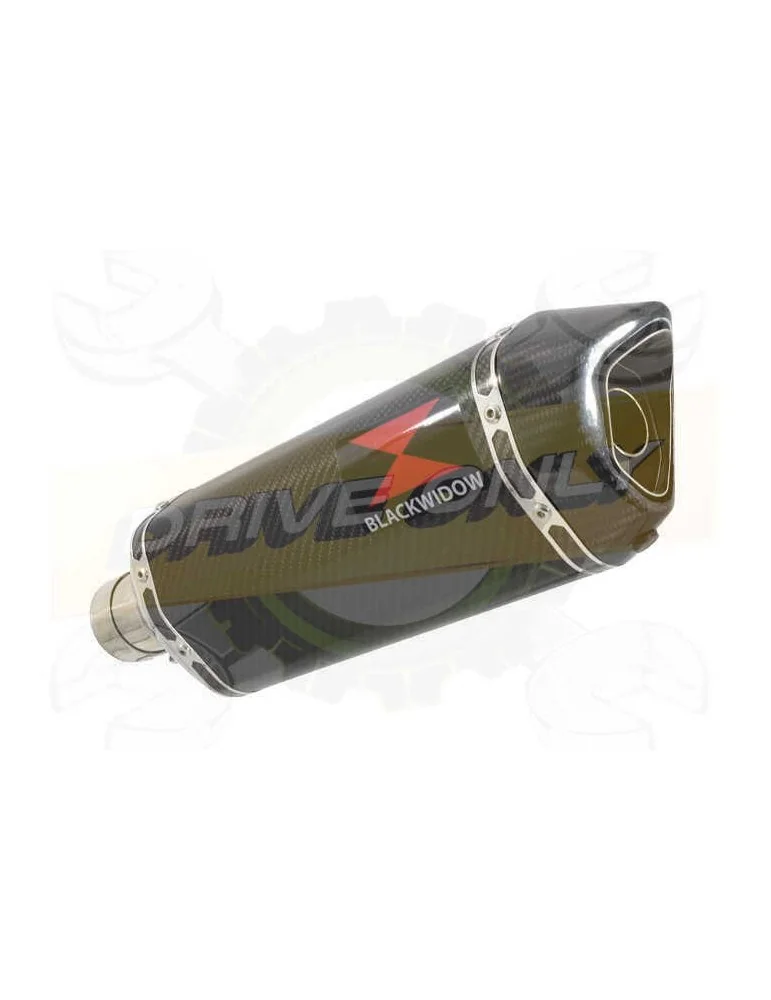 R1150 GS ADVENTURE exhaust tube de raccord et Hexagonale En Carbone Silencieux 300mm