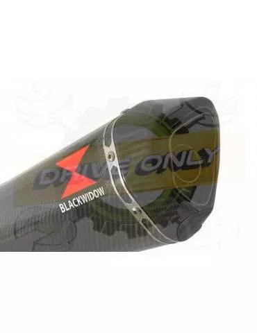 R1150 GS ADVENTURE exhaust tube de raccord et Hexagonale En Carbone Silencieux 300mm