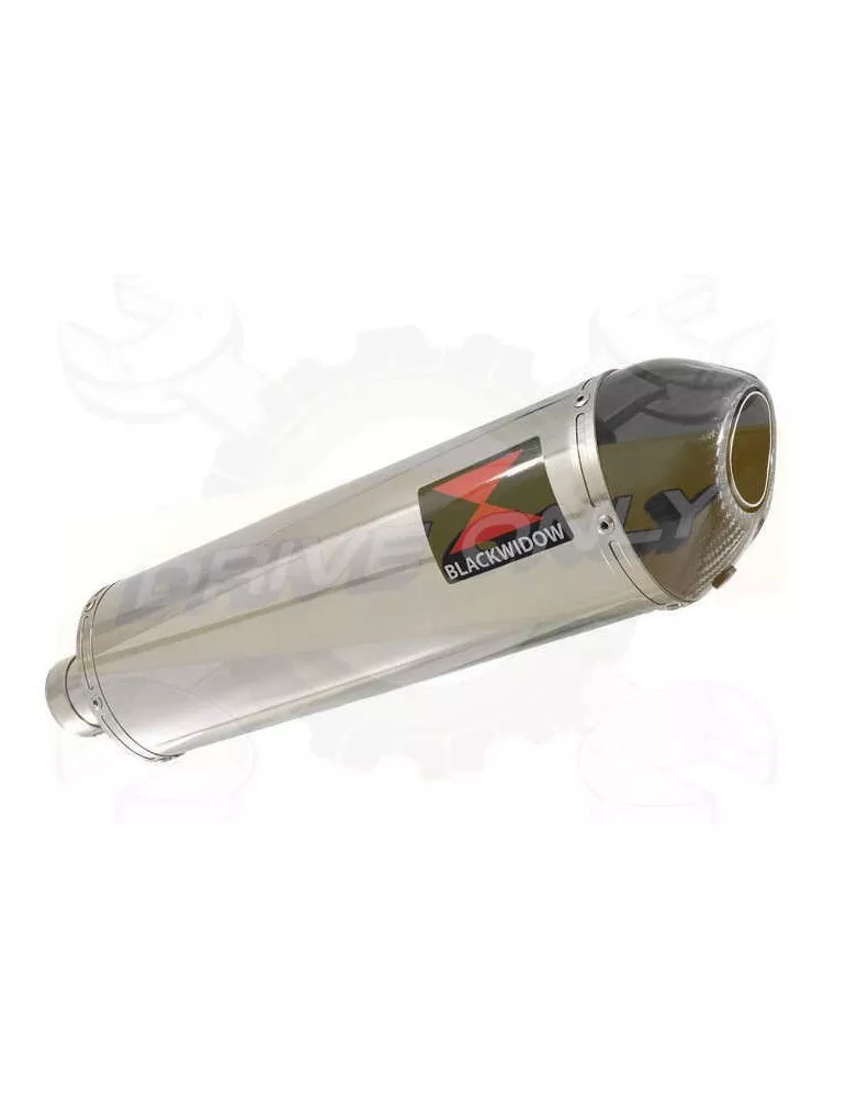 R1150 R ROCKSTER exhaust Silencieux kit & Ovale Silencieux En Inox + carbon tip 400mm